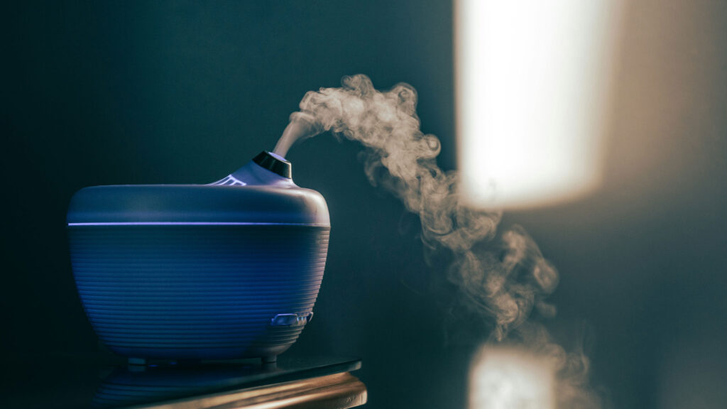 Why Are Fresh Fragrances Ideal For Every Season For Commercial And Home Uses On ServiceTrending